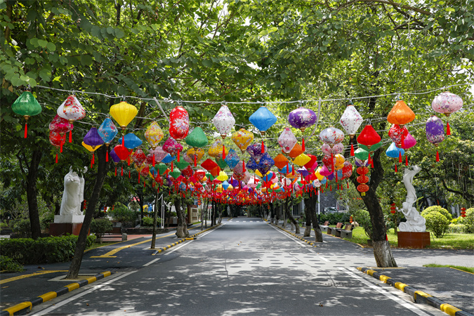 图1：市老人院上水院区紫荆大道，一片花的海洋悄然落成.jpg